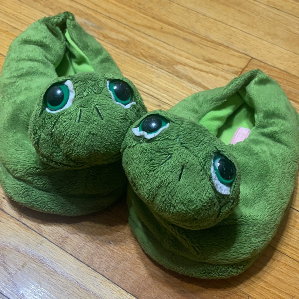 Turtle Slippers